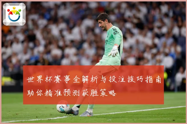 世界杯赛事全解析与投注技巧指南助你精准预测获胜策略