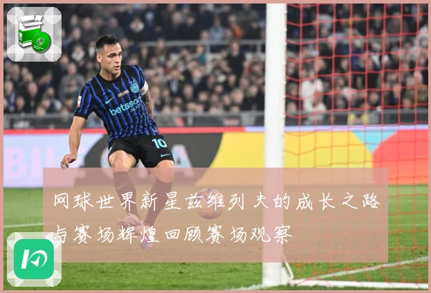 网球世界新星兹维列夫的成长之路与赛场辉煌回顾赛场观察