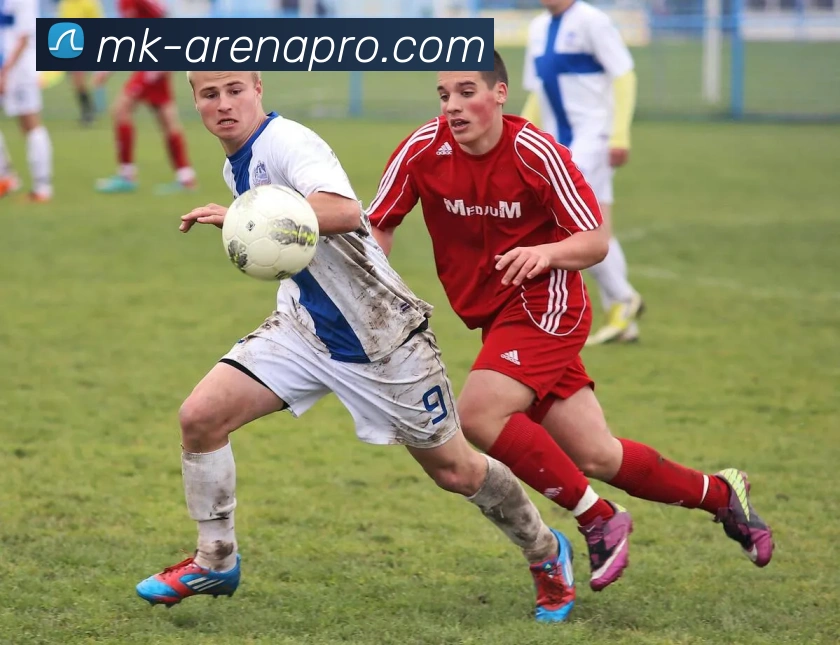 MK体育平台展示图