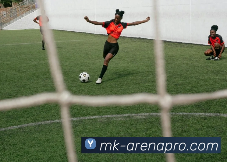 MK体育官网入口全新体验指南助你轻松掌握最新赛事动态